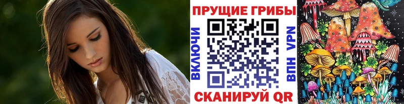 где продают   Брянск  kraken tor  Псилоцибиновые грибы GOLDEN TEACHER 