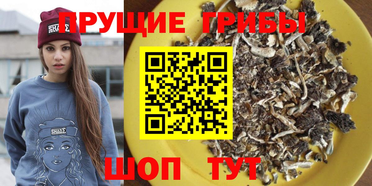 Галлюциногенные грибы мухоморы Брянск