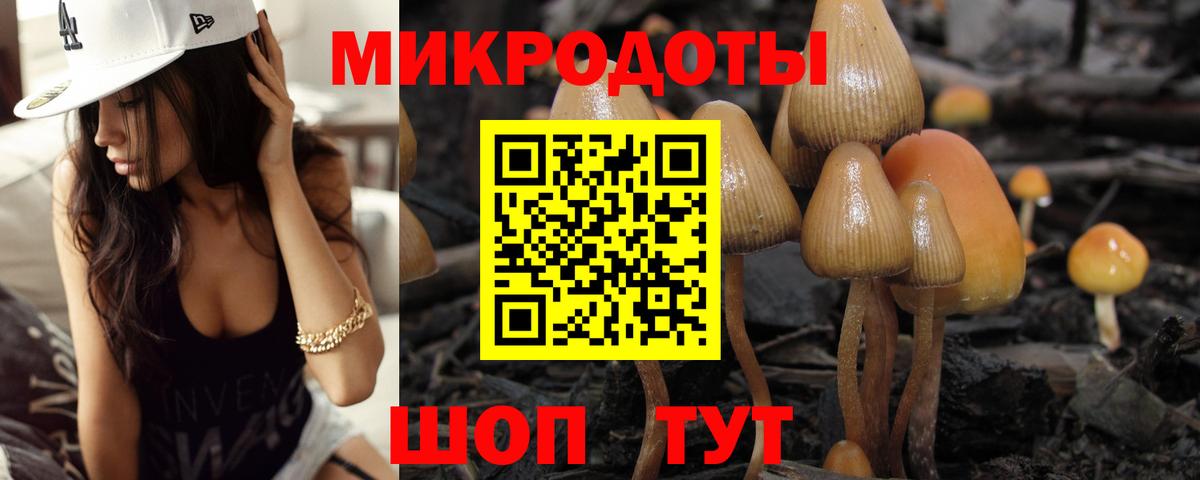 Брянск  цены   Вход с VPN  Галлюциногенные грибы мухоморы  Псилоцибиновые грибы ЛСД 